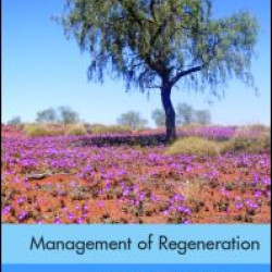 Management of Regeneration