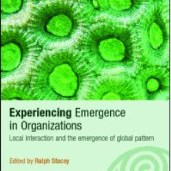 Experiencing Emergence in Organizations Experiencing Emergence in Organizations