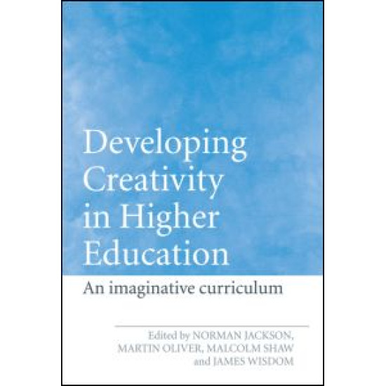 Developing Creativity in Higher Education