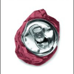 The Rise of Anti-Americanism The Rise of Anti-Americanism