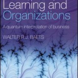 Complexity, Learning and Organizations Complexity, Learning and Organizations