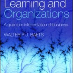 Complexity, Learning and Organizations Complexity, Learning and Organizations