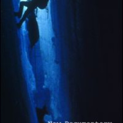 New Documentary New Documentary