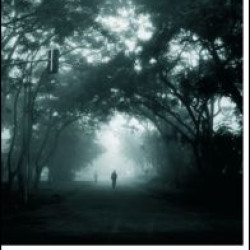 Rehabilitation Rehabilitation