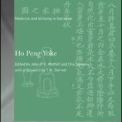 Explorations in Daoism