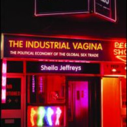 The Industrial Vagina The Industrial Vagina
