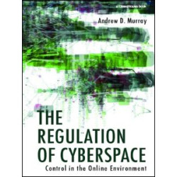 The Regulation of Cyberspace