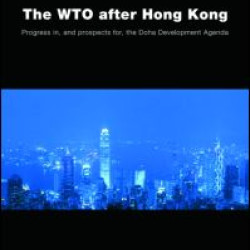 The WTO after Hong Kong The WTO after Hong Kong