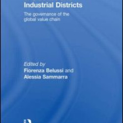 Business Networks in Clusters and Industrial Districts