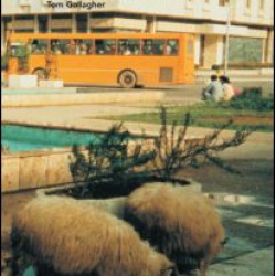 The Balkans in the New Millennium