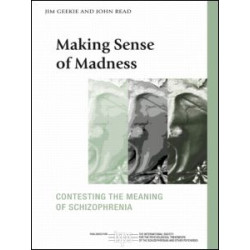 Making Sense of Madness