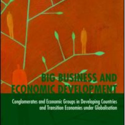 Big Business and Economic Development Big Business and Economic Development