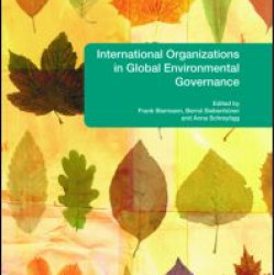 International Organizations in Global Environmental Governance