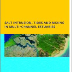 Salt Intrusion, Tides and Mixing in Multi-Channel Estuaries