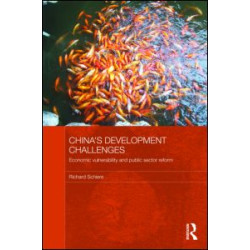 China's Development Challenges China's Development Challenges