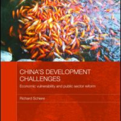 China's Development Challenges