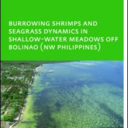 Burrowing Shrimps and Seagrass Dynamics in Shallow-Water Meadows off Bolinao (New Philippines)