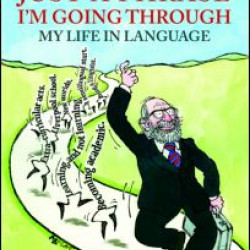 Just A Phrase I'm Going Through