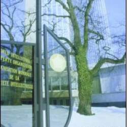 Business and Global Governance