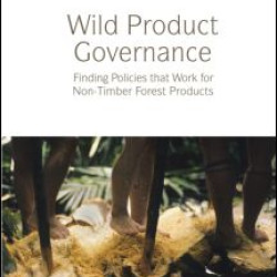 Wild Product Governance