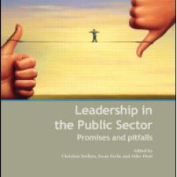 Leadership in the Public Sector Leadership in the Public Sector