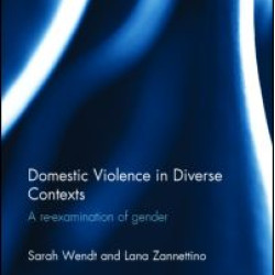 Domestic Violence in Diverse Contexts Domestic Violence in Diverse Contexts