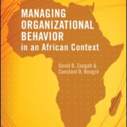 Managing Organizational Behavior in the African Context
