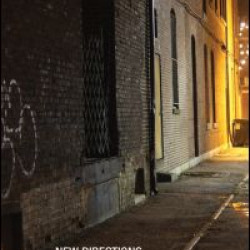 New Directions in Race, Ethnicity and Crime