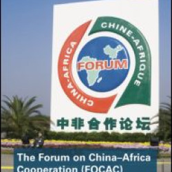 The Forum on China- Africa Cooperation (FOCAC) The Forum on China- Africa Cooperation (FOCAC)