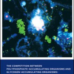 The Competition between Polyphosphate-Accumulating Organisms and Glycogen-Accumulating Organisms: Temperature Effects and Modelling
