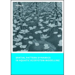 Spatial Pattern Dynamics in Aquatic Ecosystem Modelling