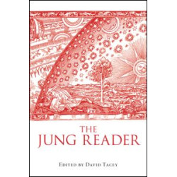 The Jung Reader The Jung Reader