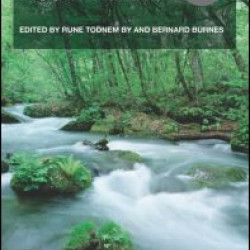 Organizational Change, Leadership and Ethics Organizational Change, Leadership and Ethics