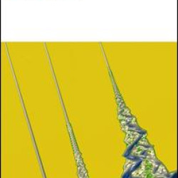 Modeling morphodynamic evolution in alluvial estuaries