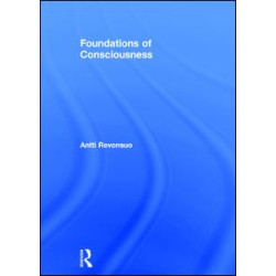 Foundations of Consciousness