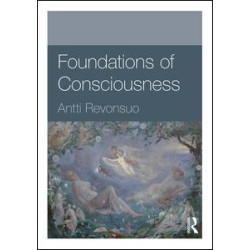 Foundations of Consciousness
