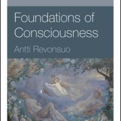Foundations of Consciousness