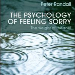 The Psychology of Feeling Sorry