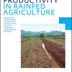 Water Productivity in Rainfed Agriculture Water Productivity in Rainfed Agriculture