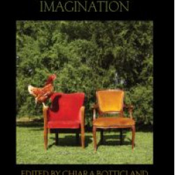 The Politics of Imagination The Politics of Imagination