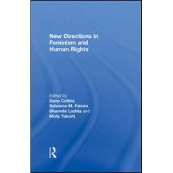 New Directions in Feminism and Human Rights