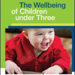 The Wellbeing of Children under Three