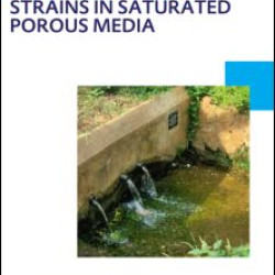 Transport of multiple Escherichia coli strains in saturated porous media