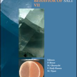 Mechanical Behaviour of Salt VII Mechanical Behaviour of Salt VII