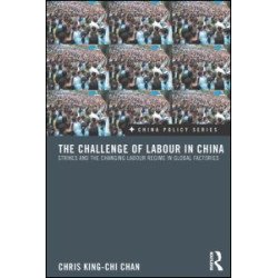 The Challenge of Labour in China