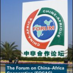 The Forum on China- Africa Cooperation (FOCAC)