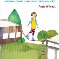 The Transition Tightrope The Transition Tightrope