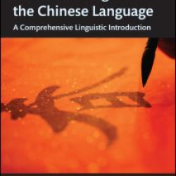 Understanding the Chinese Language