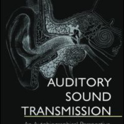 Auditory Sound Transmission Auditory Sound Transmission