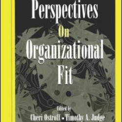 Perspectives on Organizational Fit Perspectives on Organizational Fit